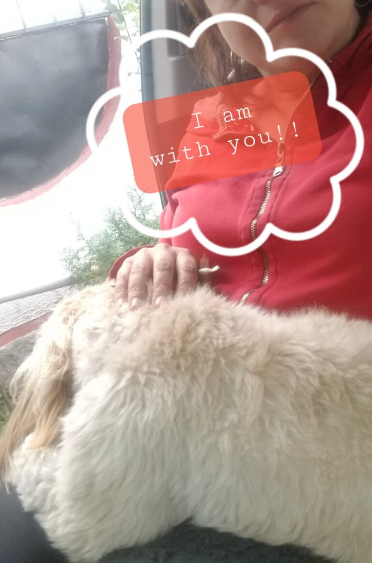 What my dog taught me about self-kindness and Language